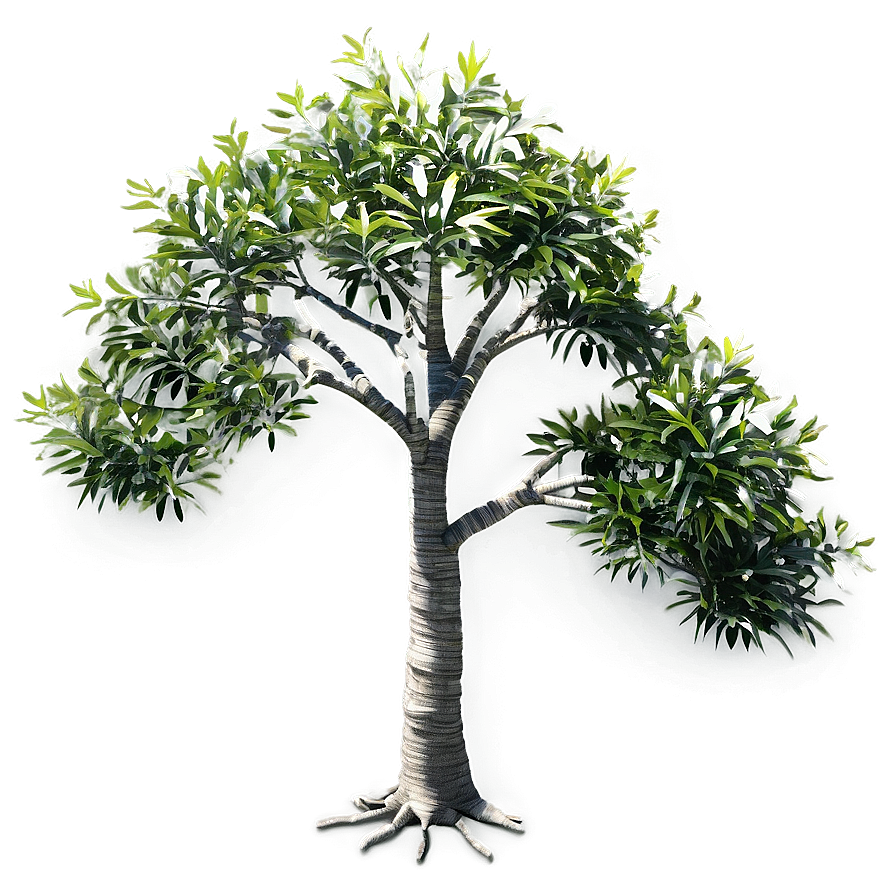 Small Tree Top View Png Jlg77