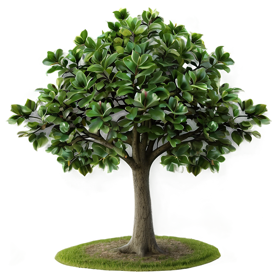 Small Tree Transparent Background Png Nte5