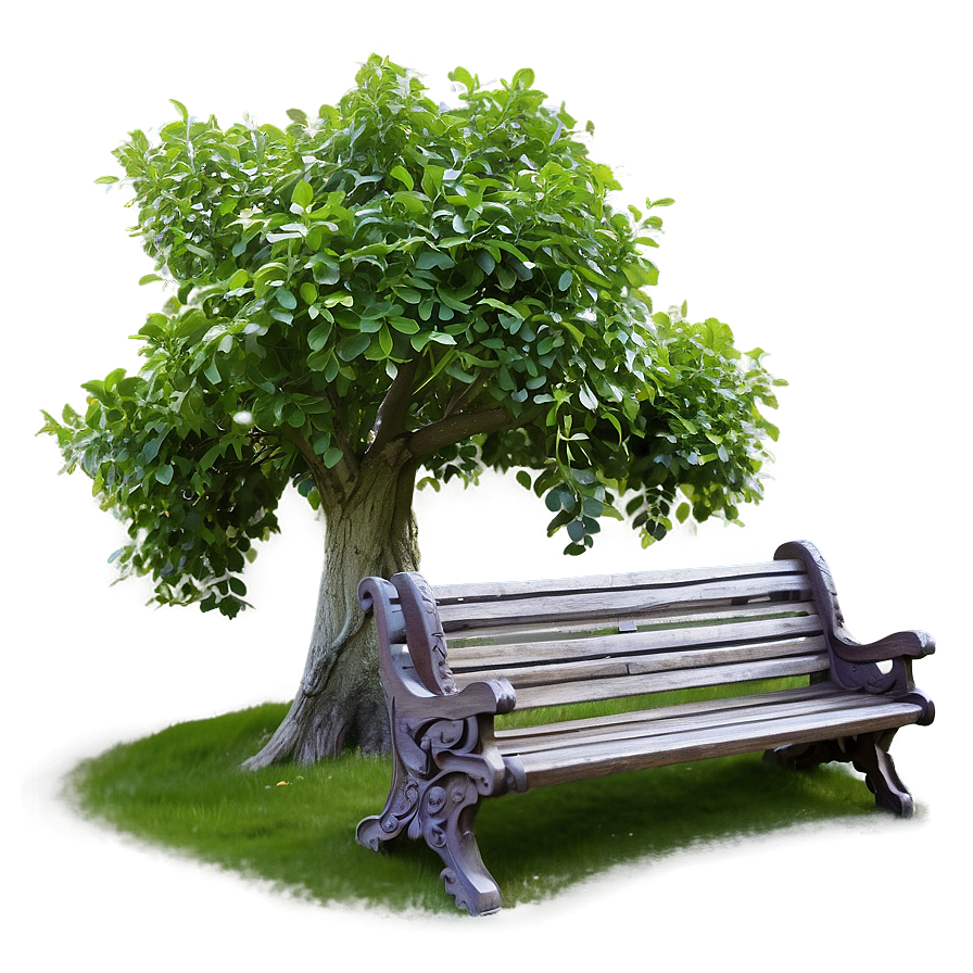 Small Tree With Bench Png 38