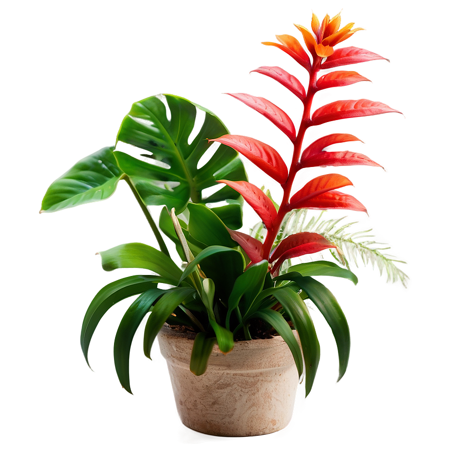 Small Tropical Plant Png Den