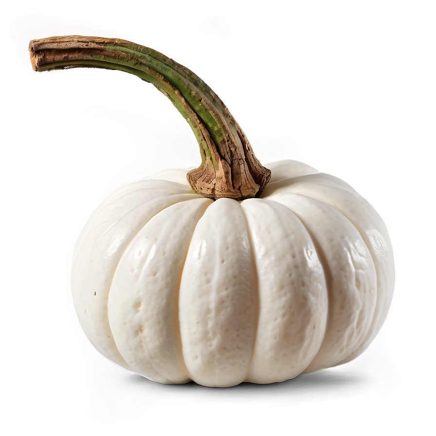 Small White Pumpkin Png 06212024