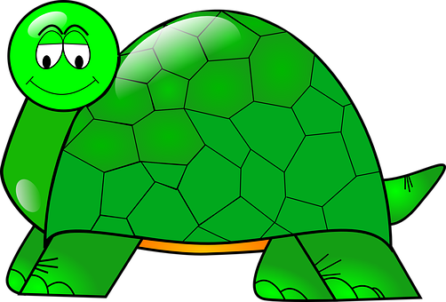 Smiling Cartoon Turtle