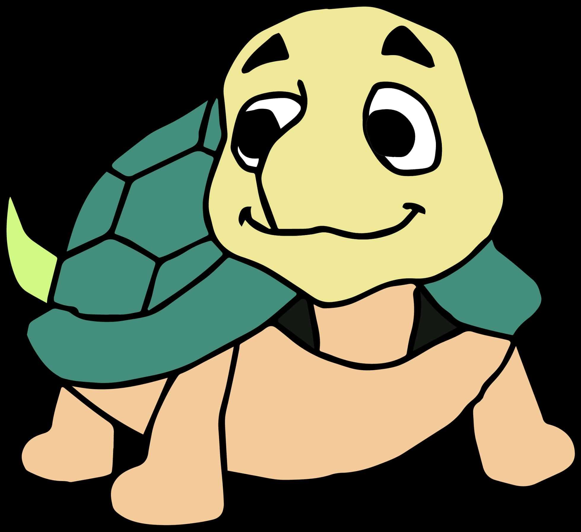 Smiling Cartoon Turtle