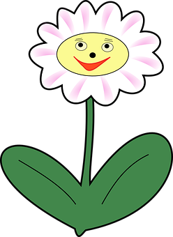 Smiling Daisy Cartoon Graphic