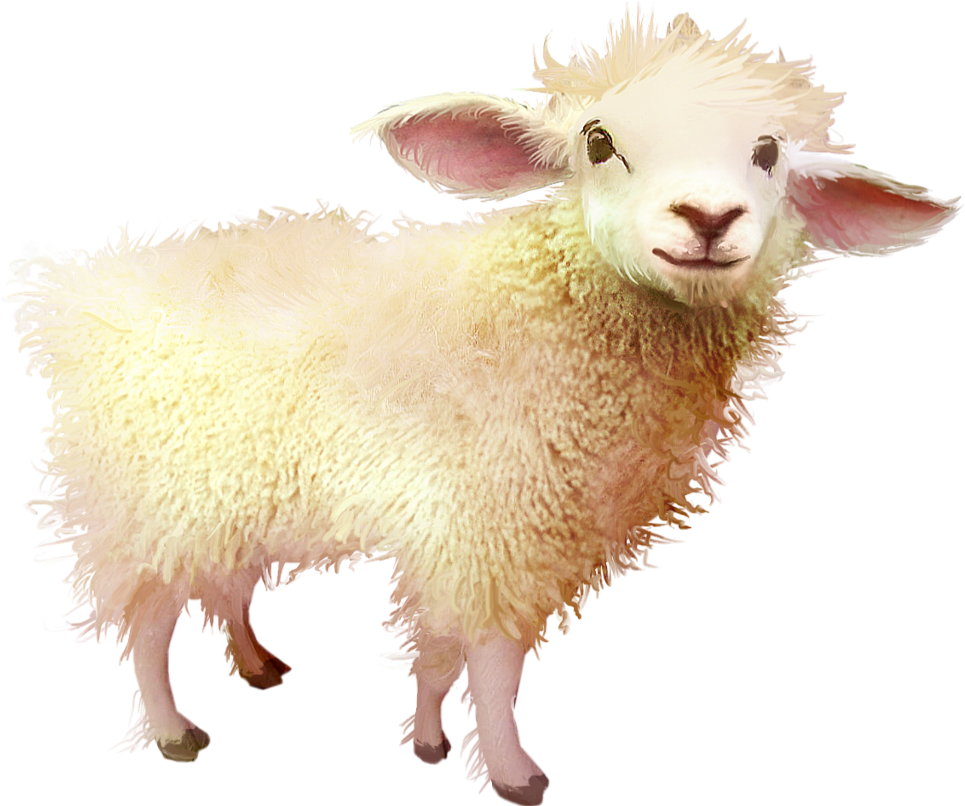 Smiling Sheep Illustration