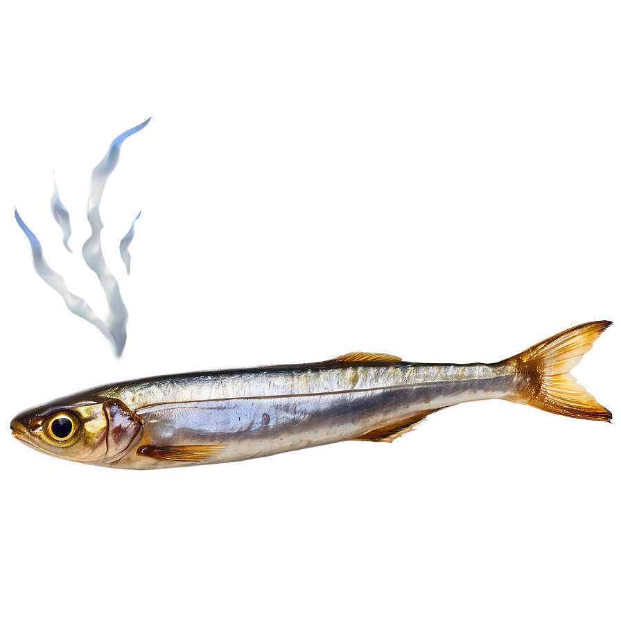 Smoked Sardine Png Lxx