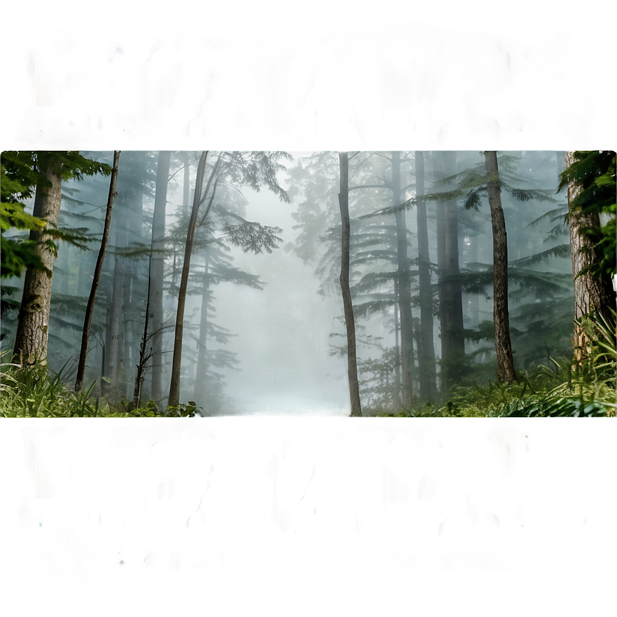 Smokey Misty Woods Png Dyr