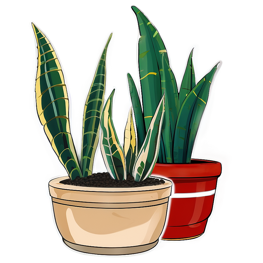 Snake Plant Garden Png Top