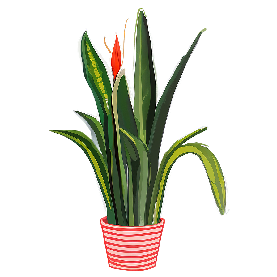 Snake Plant Line Art Png 32