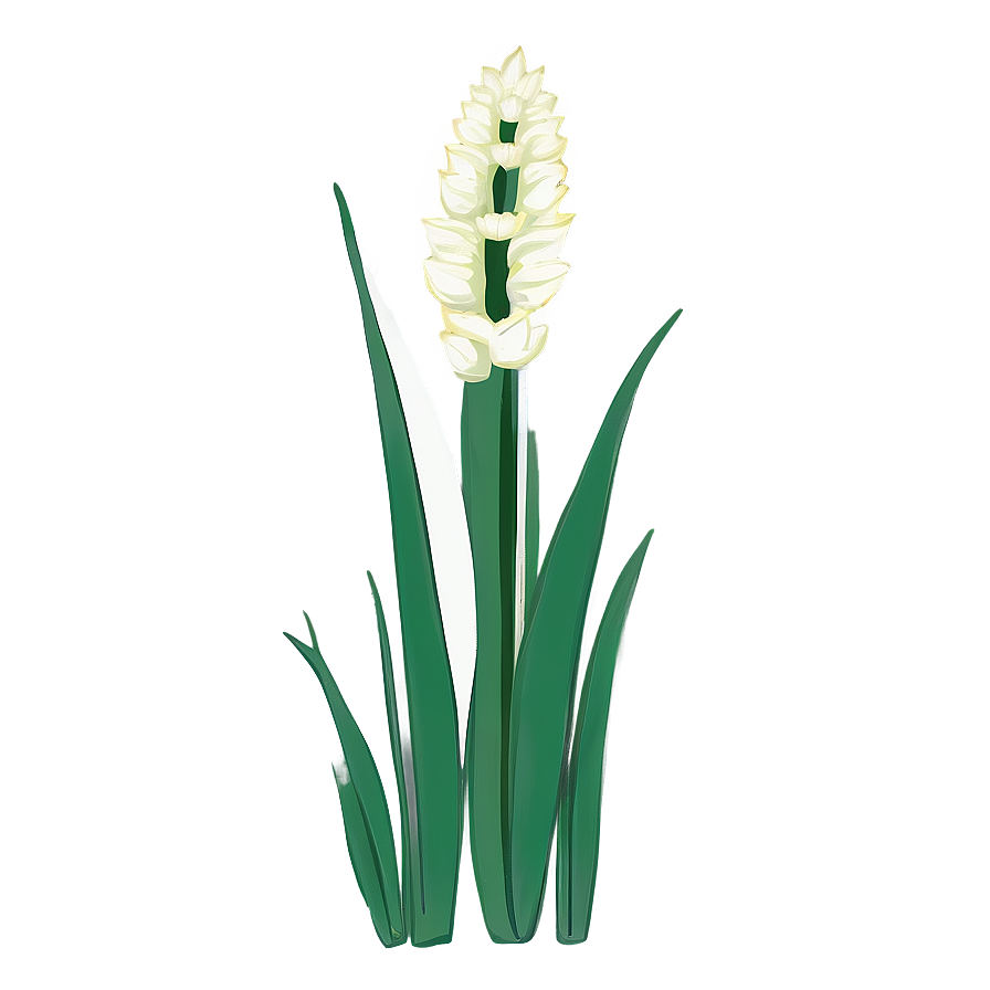 Snake Plant Line Art Png Aaw6