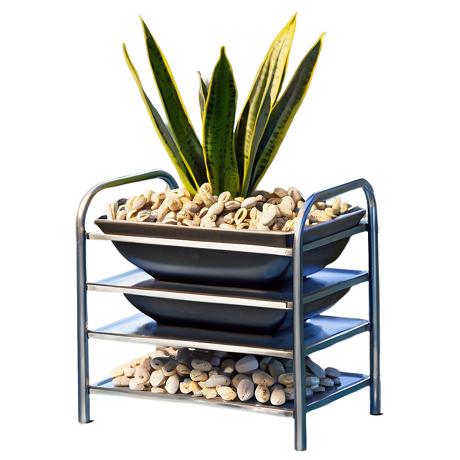 Snake Plant On Shelf Png Ajt31