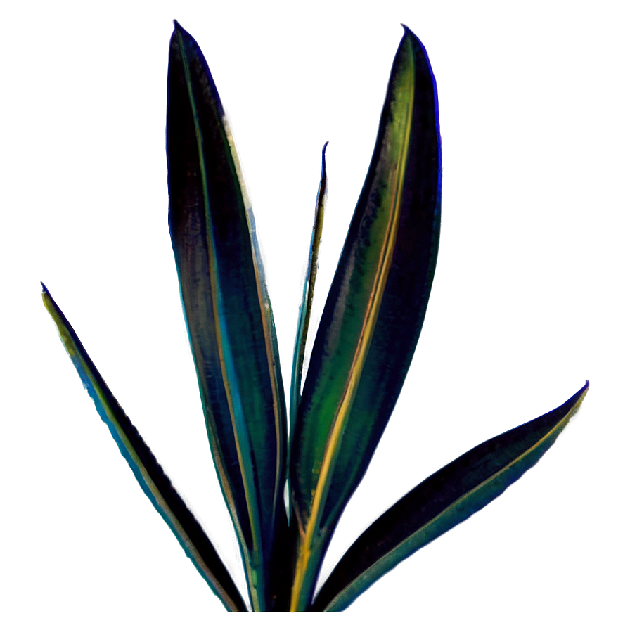 Snake Plant Silhouette Png 06122024