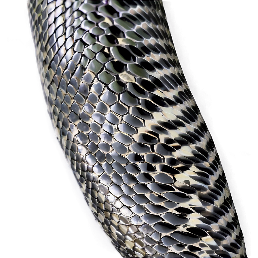 Snake Skin Surface Png Jvj2