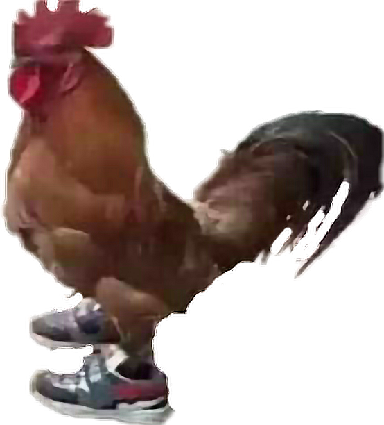 Sneaker Sporting Rooster