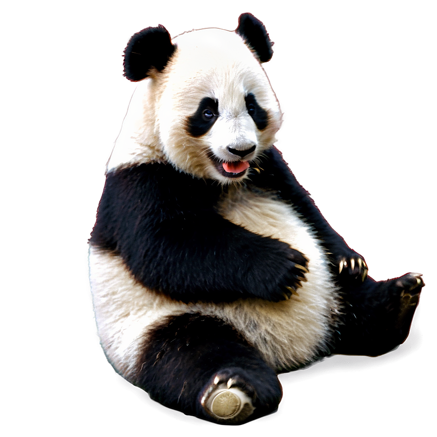 Sneezing Baby Panda Png 05062024