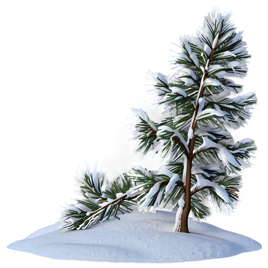 Snow Covered Pine Tree Png Sly