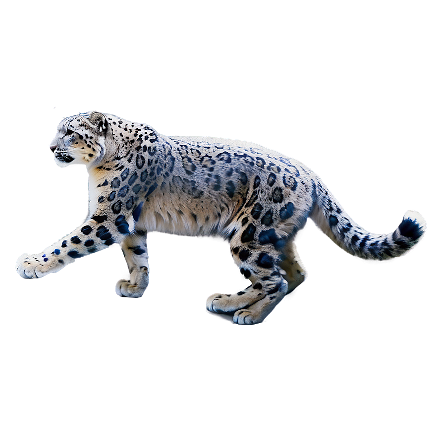 Snow Leopard In A Snowstorm Png Uuw