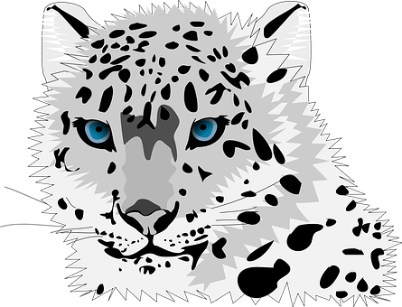 Snow Leopard Portrait Vector