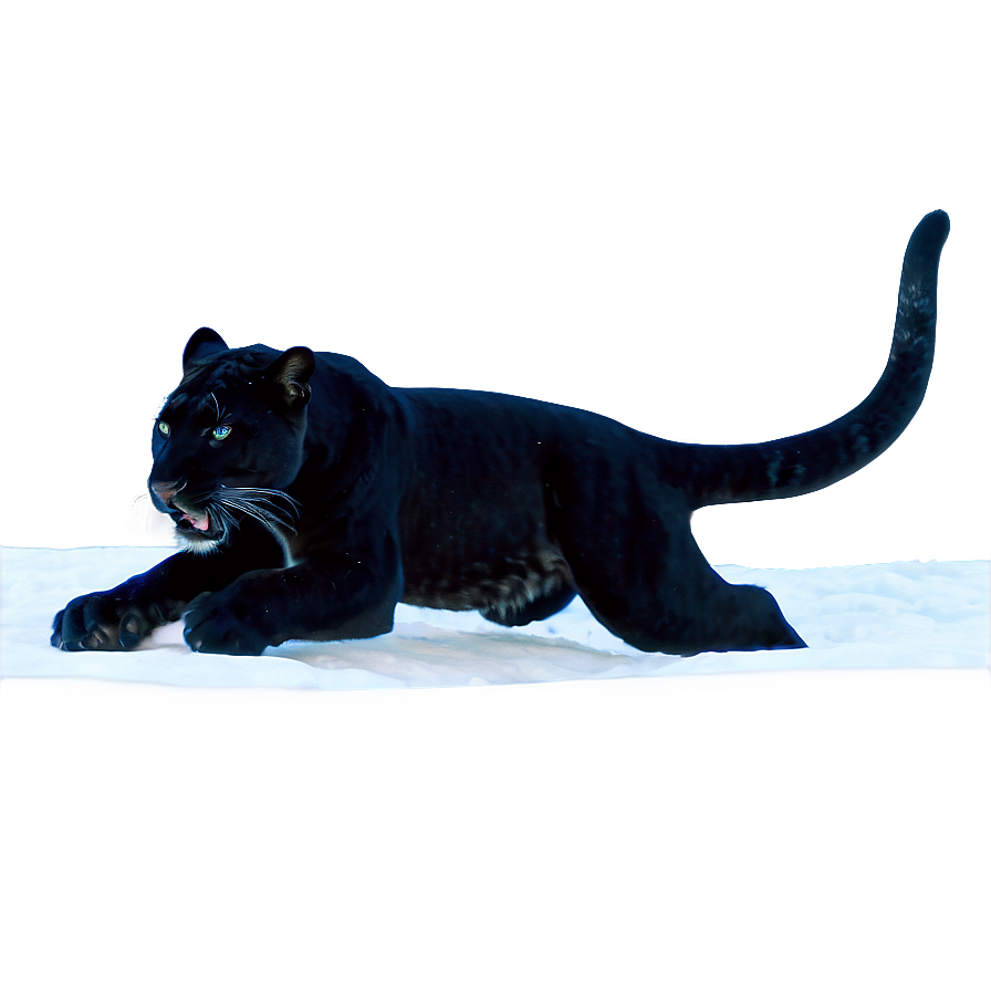 Snow Panthers In Winter Png 06202024