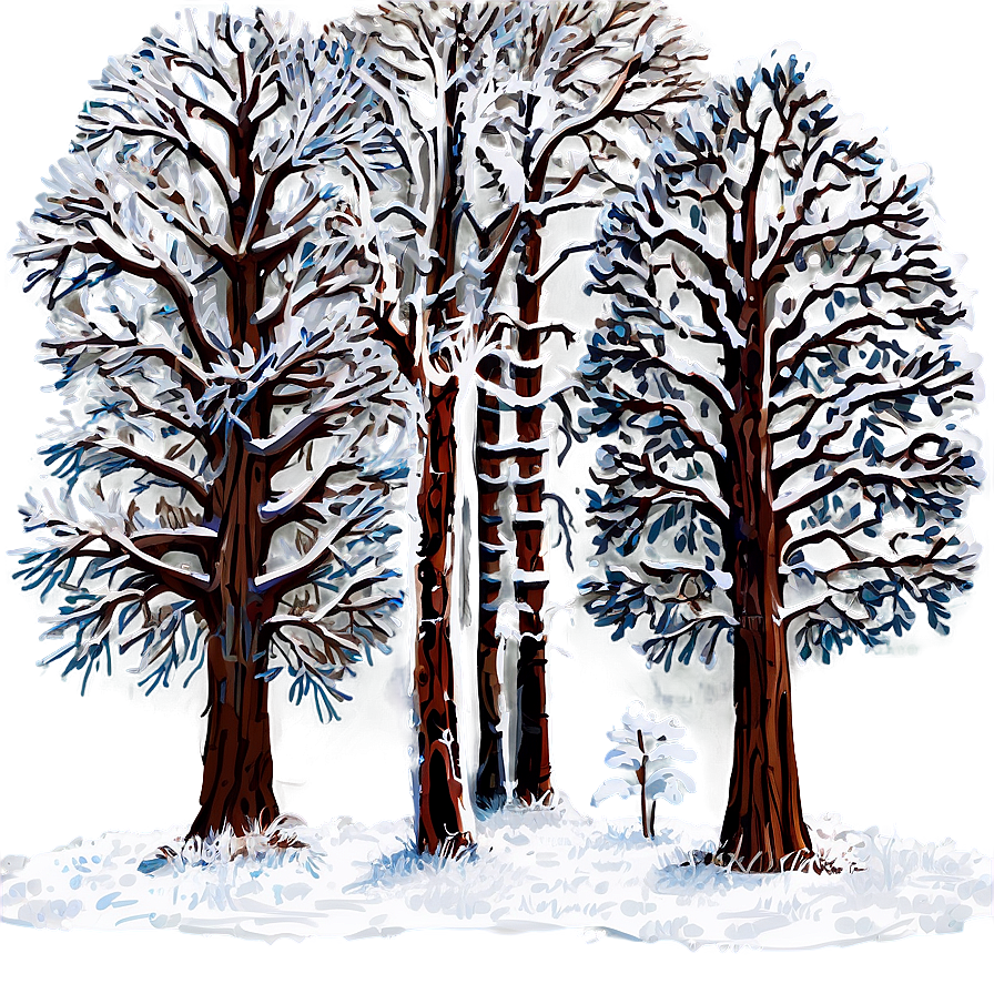 Snow Veiled Trees Png 67