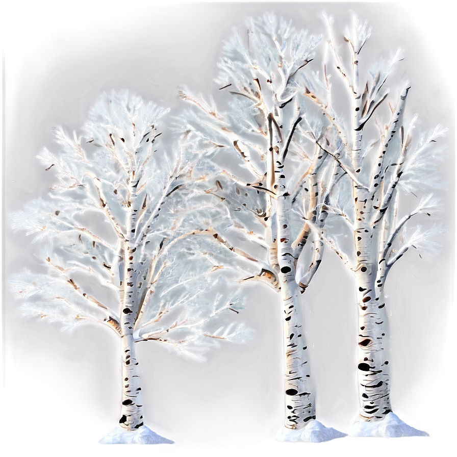 Snowy Aspen Trees Png Wmw