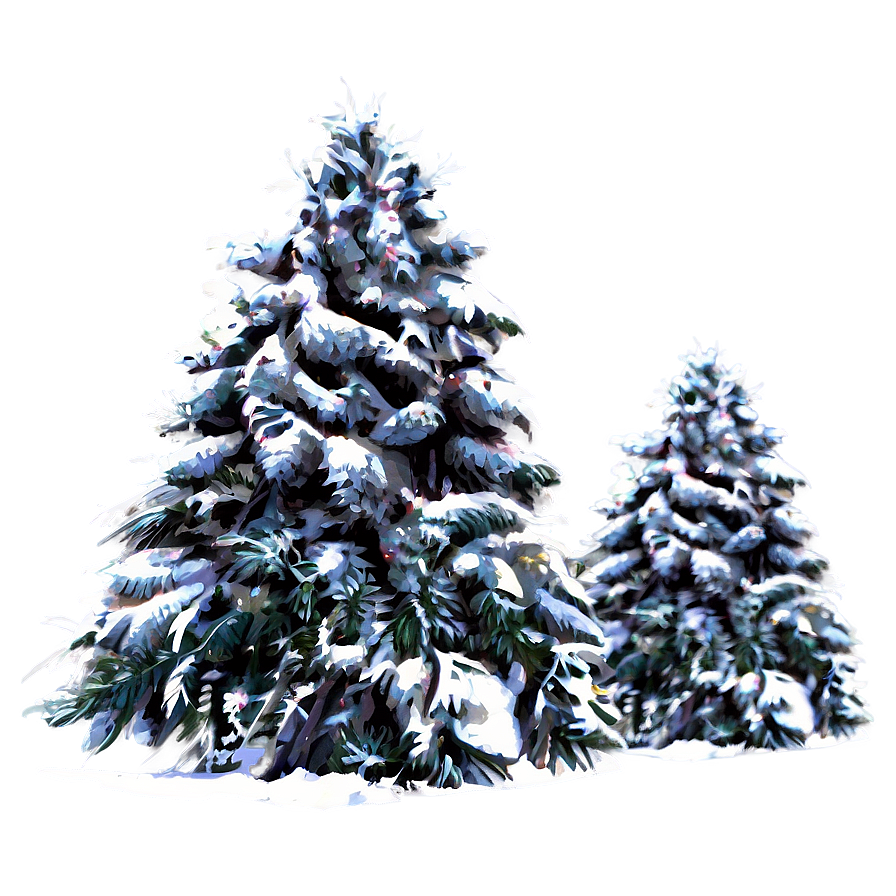 Snowy Evergreen Trees Png Who