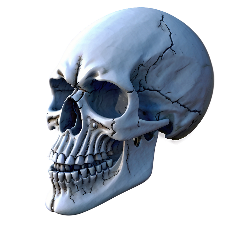 Snowy Skull Decoration Png D