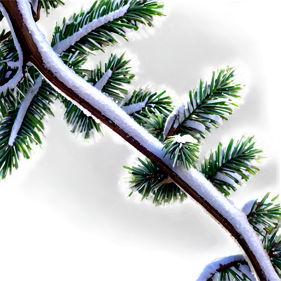 Snowy Tree Branches Png 06282024