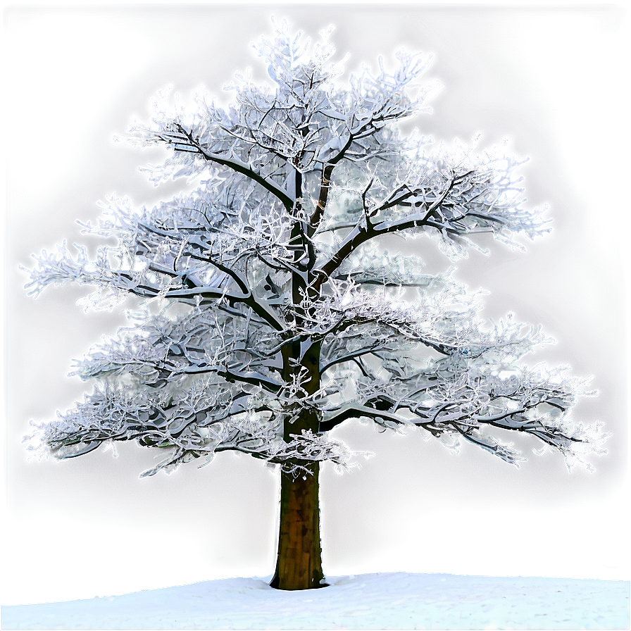 Snowy Tree On Hill Png 71