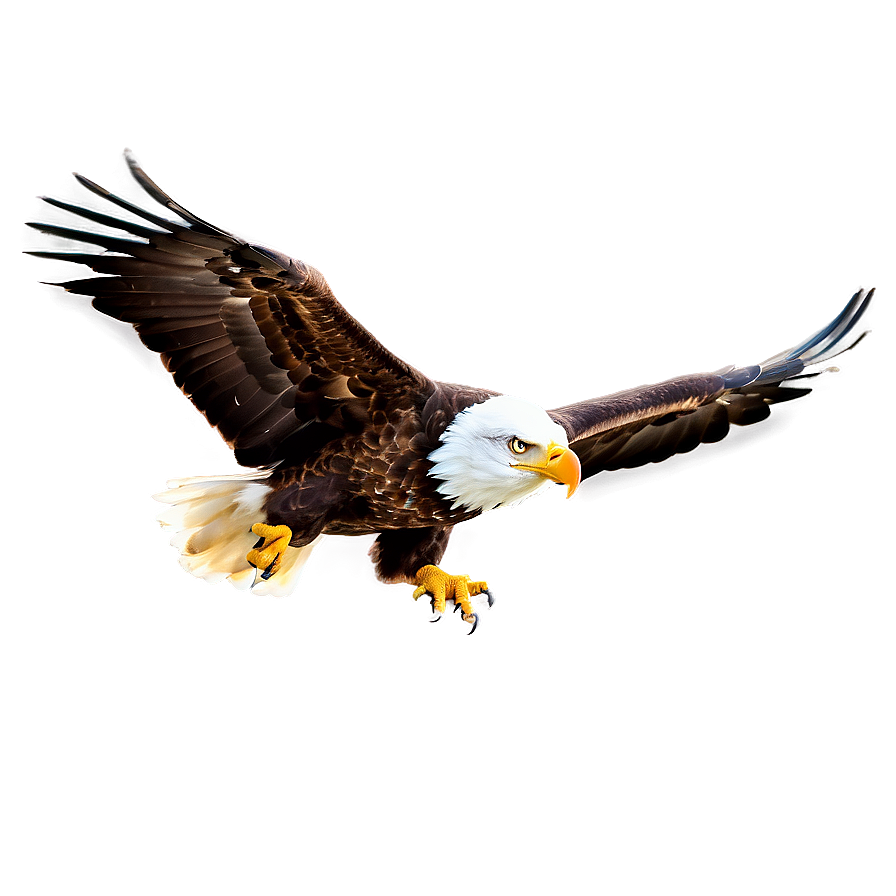 Soaring American Eagle Png Frg