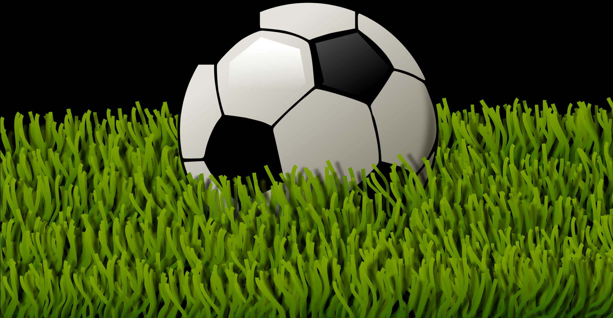 Soccer Ballon Grass Field