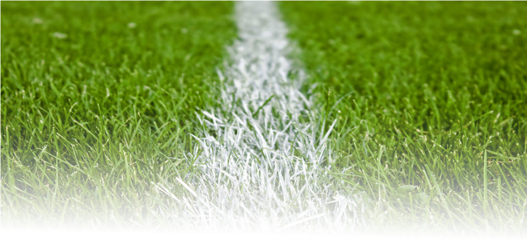 Soccer Field White Lineon Green Grass