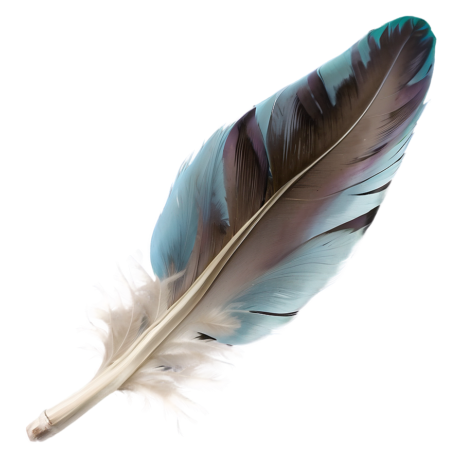 Soft Down Feather Png 24