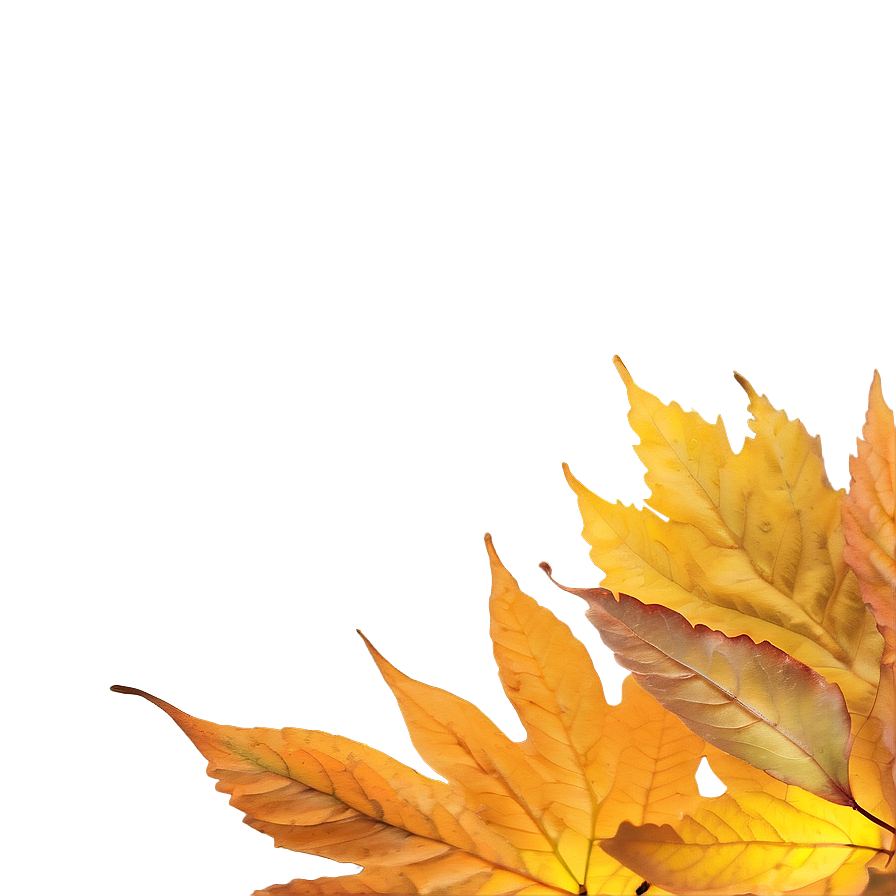 Soft Focus Fallen Leaves Png 33