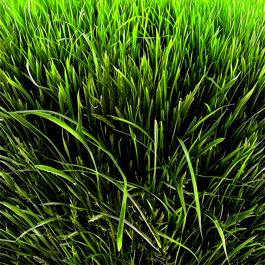 Soft Green Grass Texture Png Mst