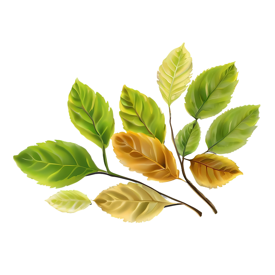 Soft Leaves Png 05042024