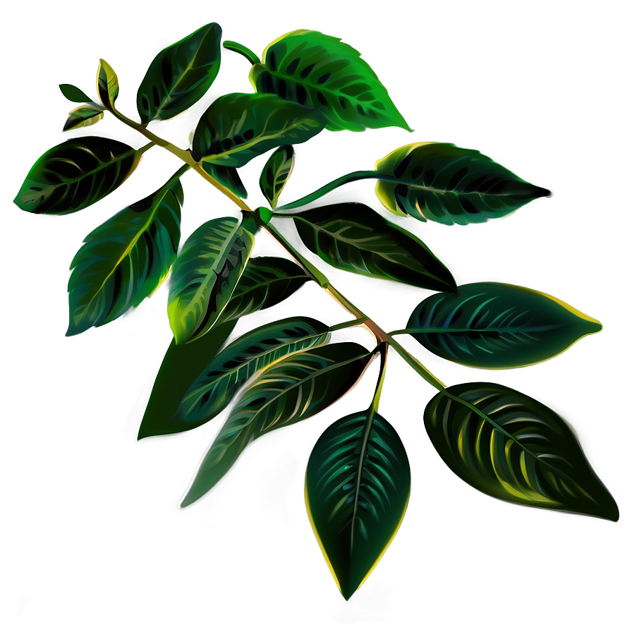 Soft Leaves Png 30