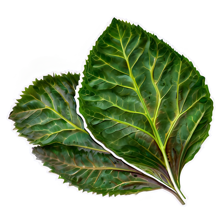 Soft Leaves Png Hqx64