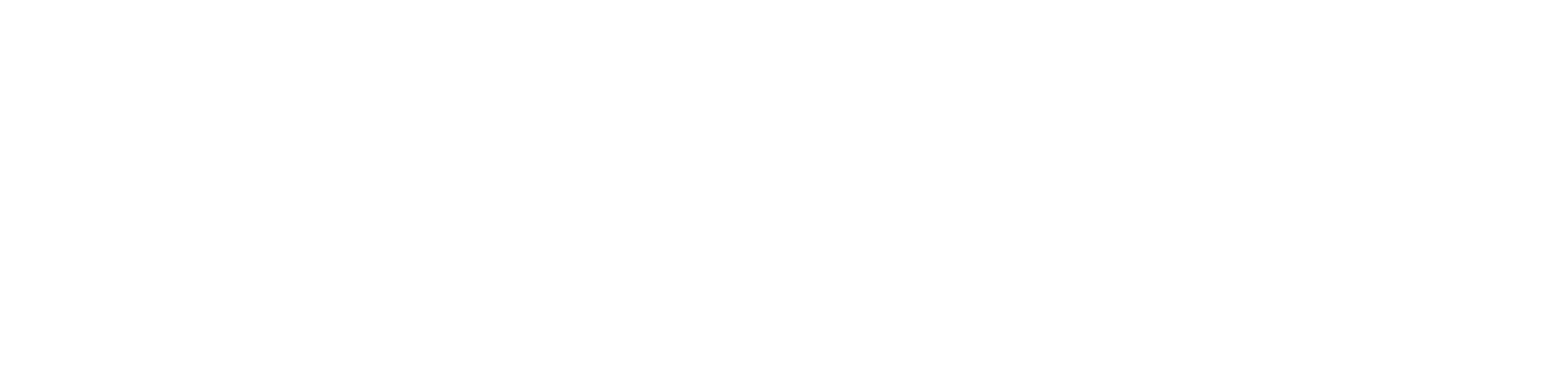 Sound Wave Logo Design