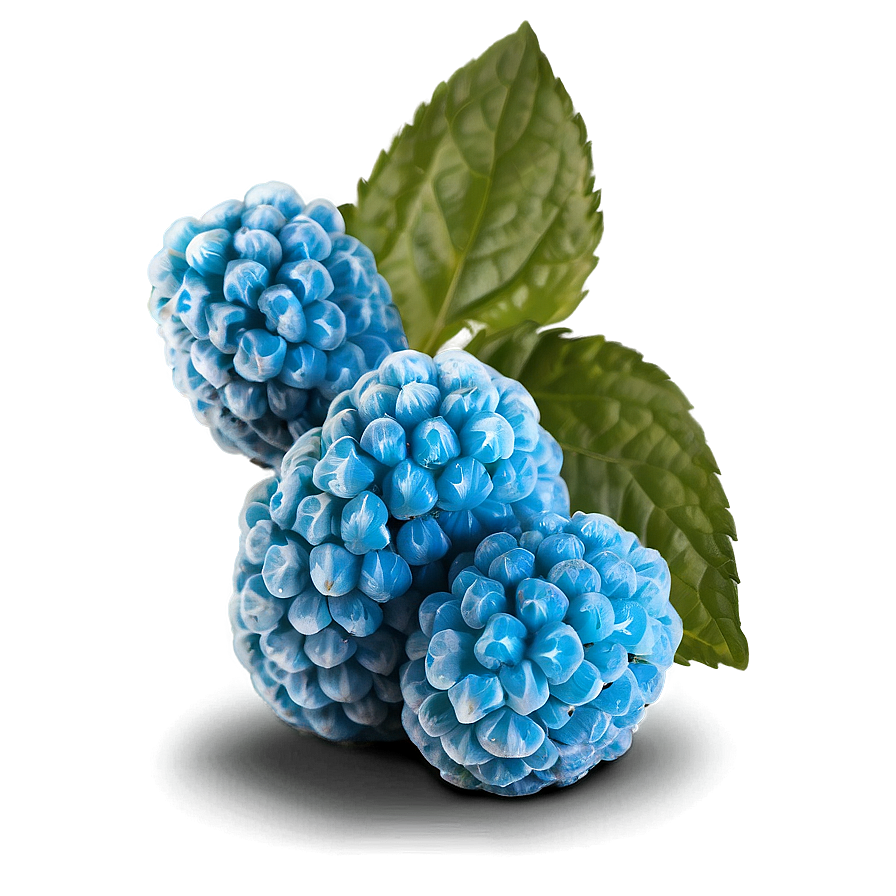 Sour Blue Raspberry Png Qea