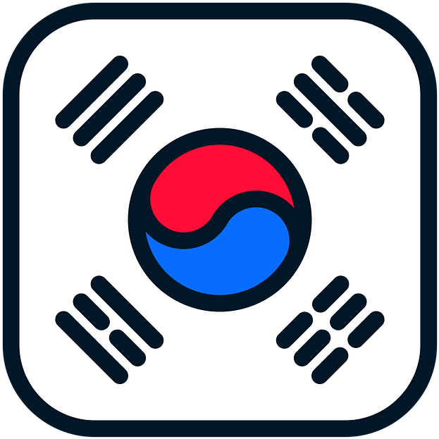 South Korean Flag Graphic