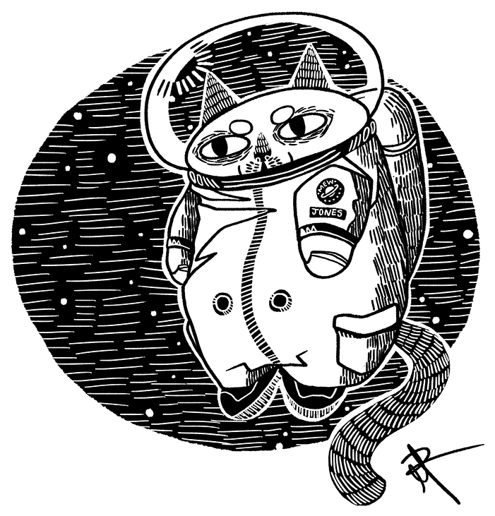 Space Cat Astronaut Illustration