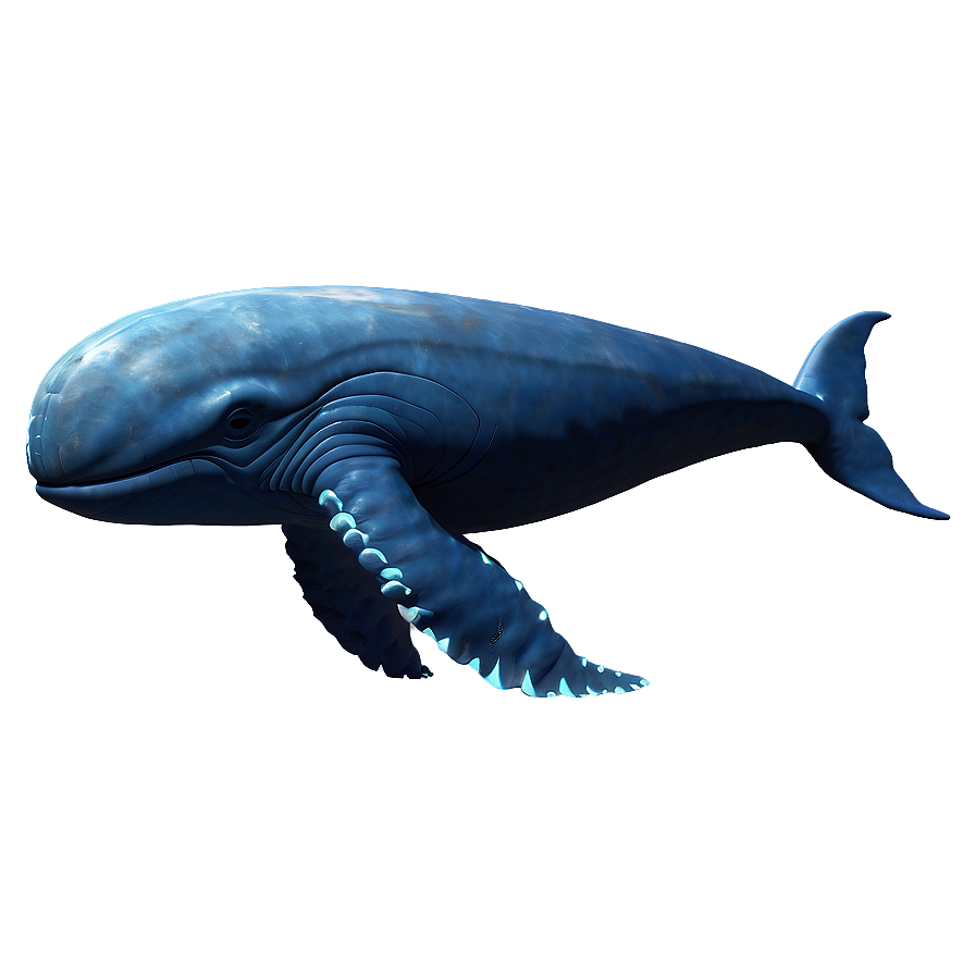 Space Whale Png 05232024