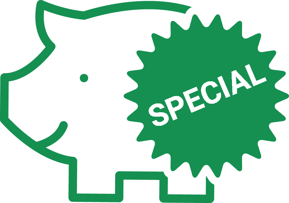 Special Offer Hedgehog Icon