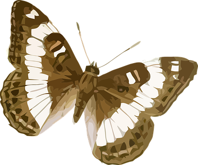 Speckled_ Brown_ Butterfly_ Vector_ Art