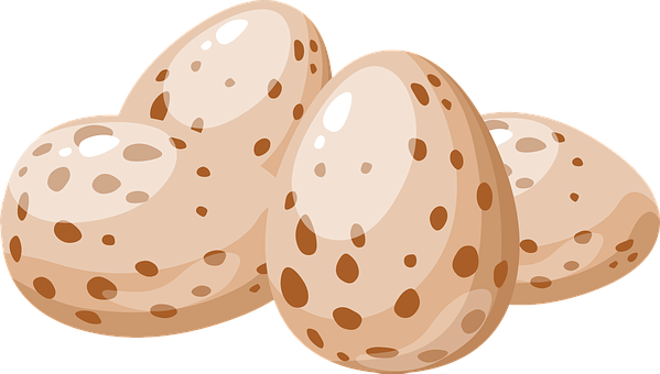 Speckled Eggs Vector Illustration