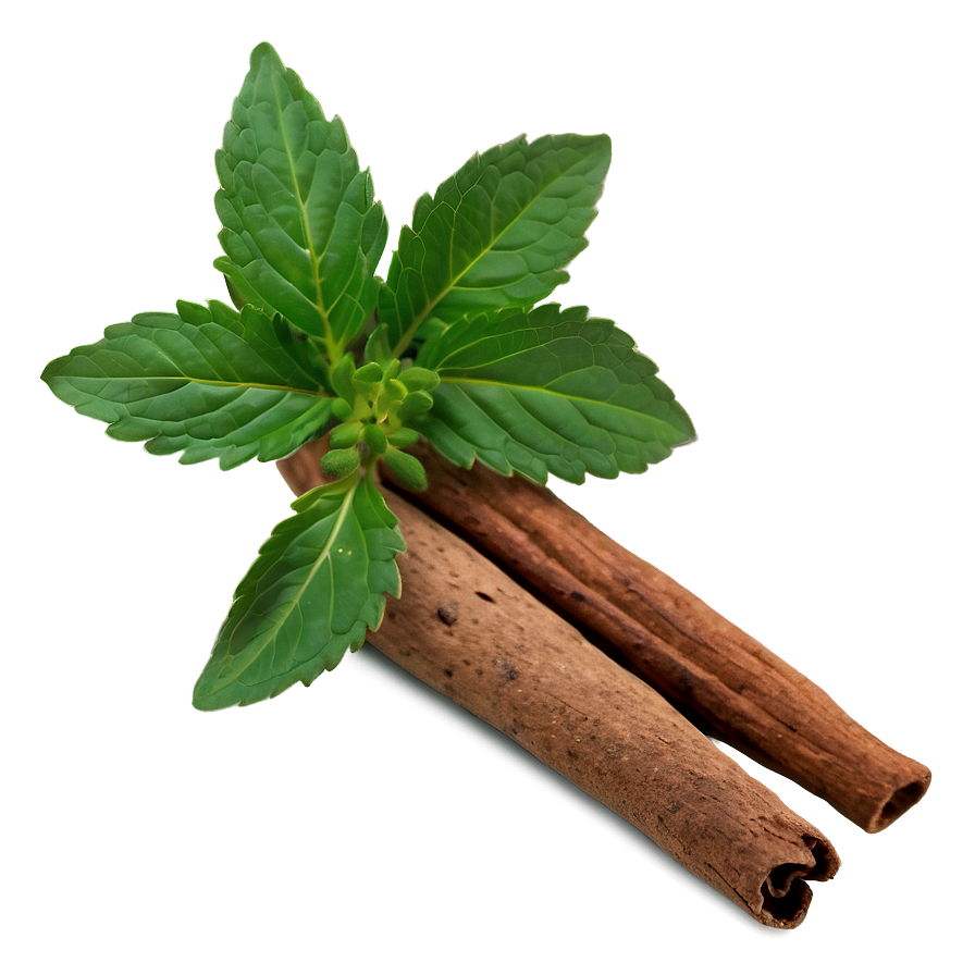 Spice And Herb Png Gwy49