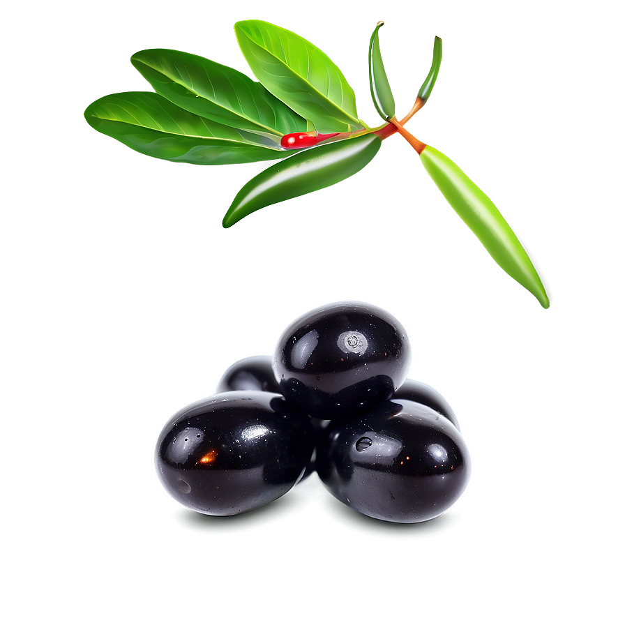 Spicy Black Olives Png Jqh95