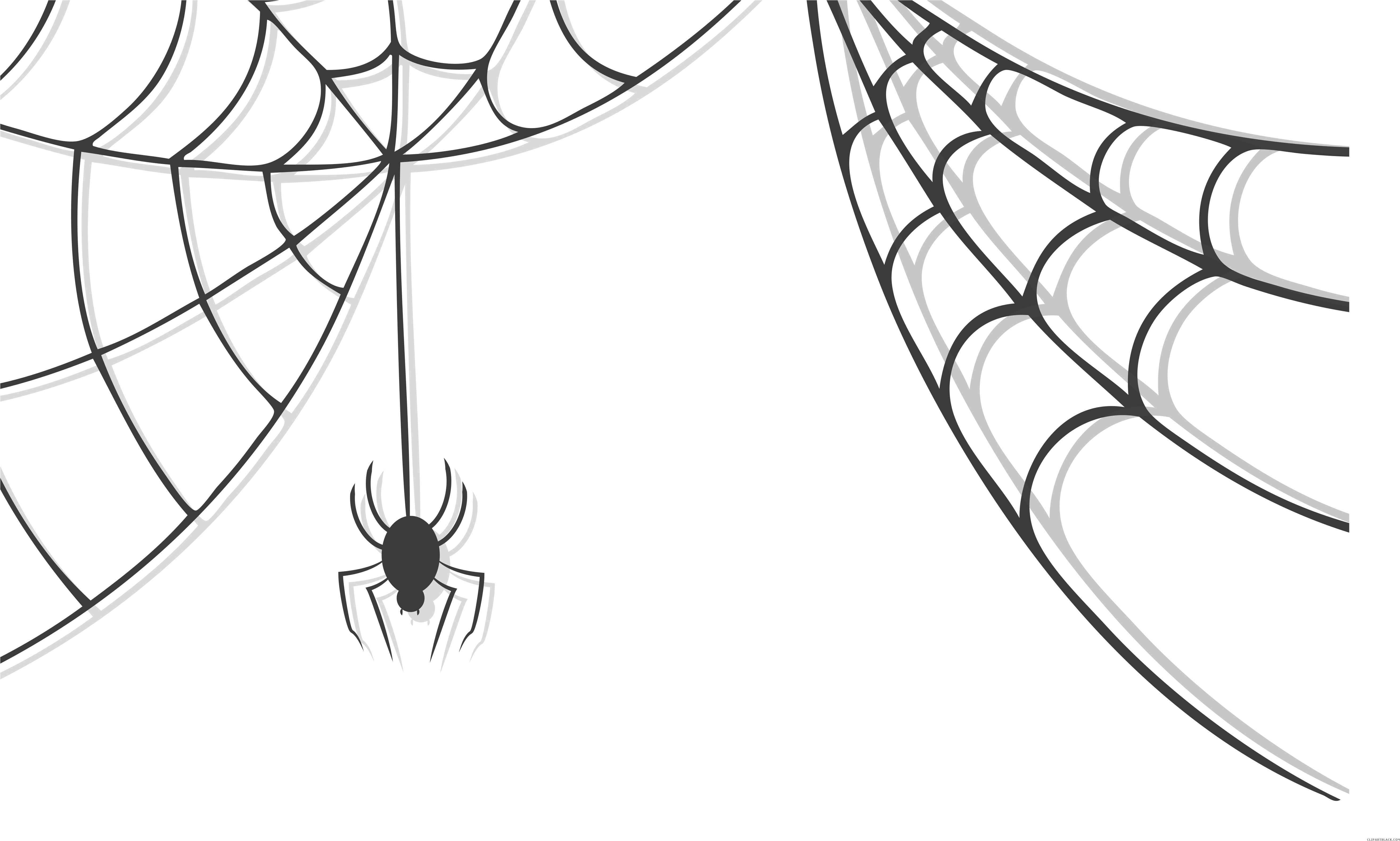 Spider Descending From Web