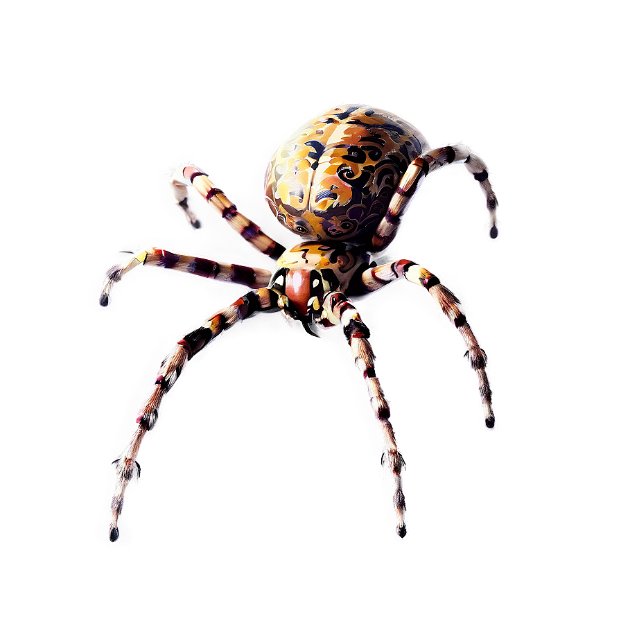 Spider Drawing Png 30